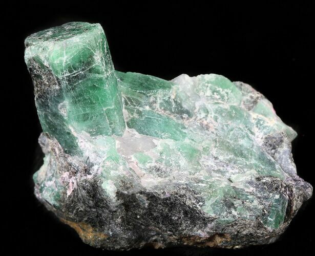 Beryl (Var: Emerald) Crystal Cluster in Biotite - Bahia, Brazil #44122